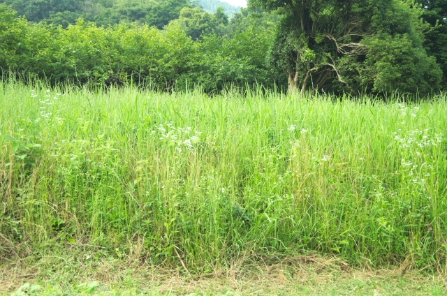 原野、宅地、田畑、森林、空き家などの調査イメージ画像